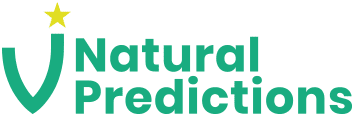 Stefano Bergomi Portfolio UX UI Natural Predictions Brand