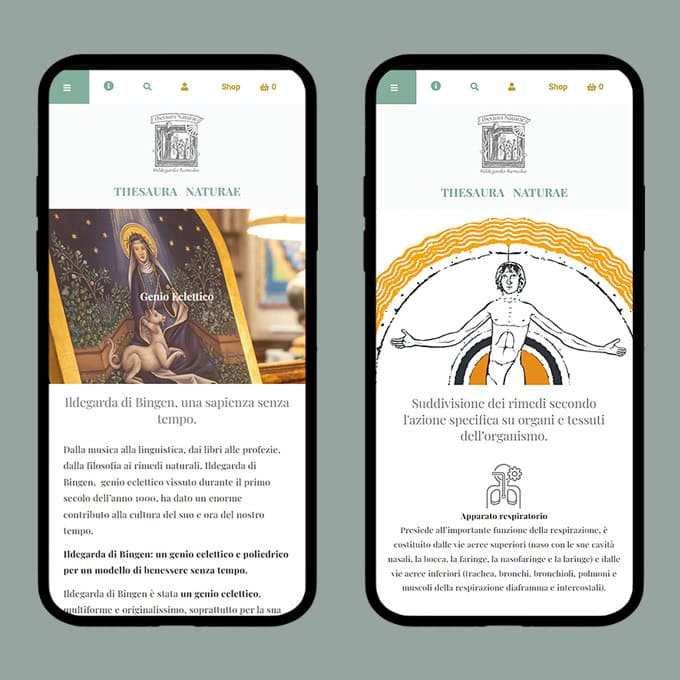 Stefano Bergomi Portfolio Website Ecommerce Thesaura Naturae